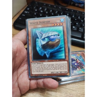 [Yugioh Funny Shop] 1 lá thẻ bài White Sunfish - PHNI-EN006 - Common 1st Edition