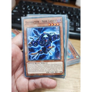 1 lá thẻ bài raidraptor - noir lanius - phni-en004 - common 1st edition