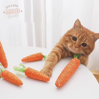 Đồ chơi hình cà rốt cho chó mèo thú cưng vờn gặm