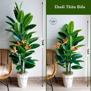 Cây giả, Chuối Thiên Điểu giả loại lá nhỏ trang trí