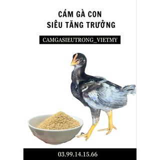 Cám gà con siêu tăng trưởng vip