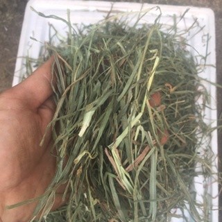 1 kg cỏ timothy USA cắt ngắn lọc bụi loại cành lá mềm