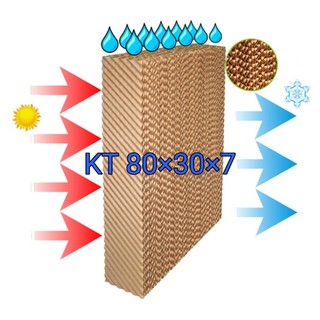 Tấm làm mát quạt hơi nước KT 80*30*7