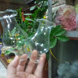Bóng đèn dầu, bóng đèn thủy tinh, bóng đèn chụp đèn dầu