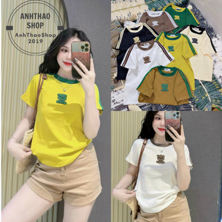 Áo thun nữ ôm body chất borip cổ tròn tay ngắn. Áo thun nữ dáng ôm tay chạy sọc. Áo thun nữ phom babytee AH Design