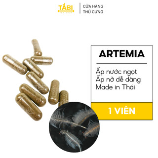 ARTEMIA Nước Ngọt (Trứng Ấp) - Atermia Làm Thức Ăn Cho Cá Bột, Cá Mới Nở, Cá 7 Màu Con[VIÊN NHỘNG]