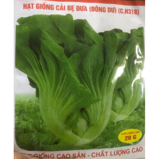 Cải bẹ dưa Cao sản