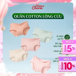 Quần lót bầu chất liệu Modal gỗ sồi an toàn lành tính Venus Charm K3009