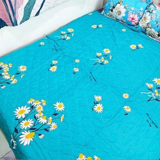 ( Giảm Giá Gốc ) Chăn Hè PoLy Cotton 3 Lớp Trần Bông ( đựoc chọn mẫu )