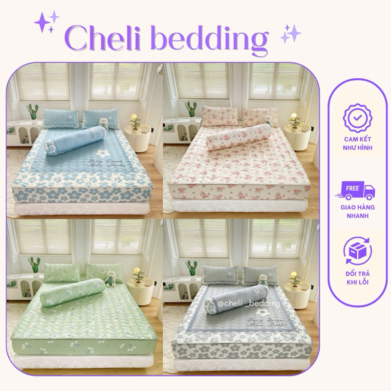 Set Chiếu Điều Hoà Cao Su Non Bo Chun Cao Cấp Vip -Chiếu Cao Su Non Bo Chun 6D Món Đủ Kích Thước - C