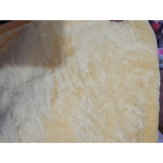 Gấu bông chăn mền