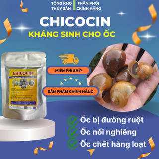 CHICOCIN | Kháng sinh đặc trị bệnh đường ruột cho ốc bươu đen