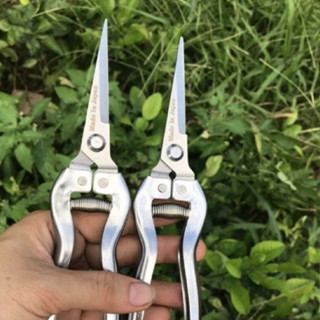 Kéo tỉa dăm cây, Kéo tỉa dăm bonsai hàng tốt