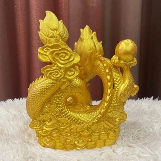 Heo đất rồng size đại