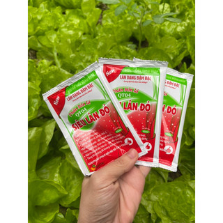 Siêu lân đỏ đậm đặc- cây khỏe, rễ mạnh (có thể dùng cho cây vừa đảo bầu, trồng lại..)