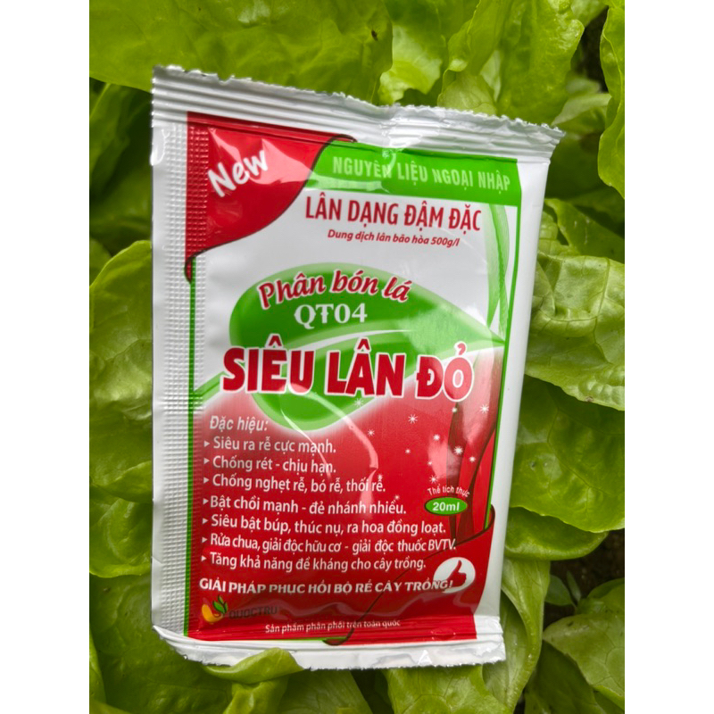 Siêu lân đỏ đậm đặc- cây khỏe, rễ mạnh (có thể dùng cho cây vừa đảo bầu, trồng lại..)
