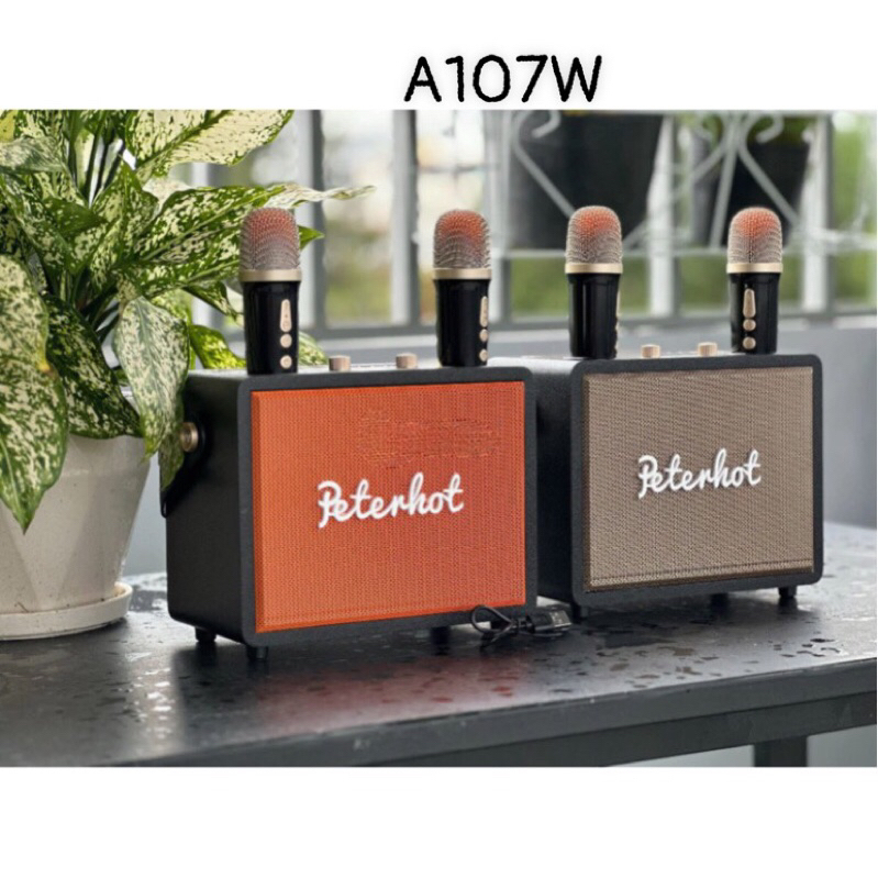 Loa Bluetooth PETERHOT A107W kèm 2 micro karaoke không dây