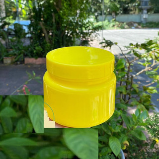 Combo 10 hủ miu 150gr (đủ màu-có nắp lót chống tràn)