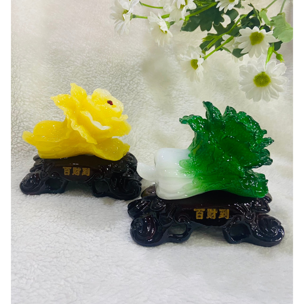 BẮP CẢI PHONG THỦY [ NHỎ ]