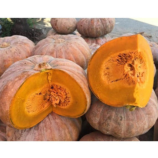 Bột bí đỏ Nguyên Chất Gói 10g