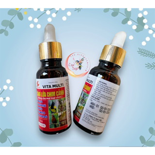 Tăng lửa Sao Việt cho chim Chào Mào Thi Đấu