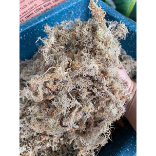 1kg dớn trắng, dớn mềm giữ ẩm trồng lan, kiểng lá