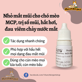 Nhỏ mắt mũi MCP cho mèo bị viêm mí, chảy nước mắt, hắt hơi, sổ mũi