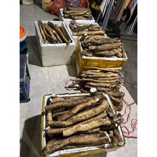 Củ mài rừng HOÀI SƠN SẦN 500g khô tự nhiên (không sấy lưu huỳnh)