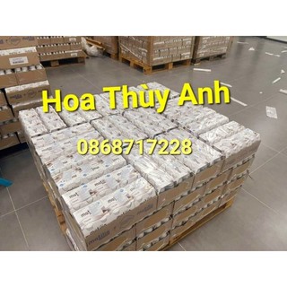 (Date T3/2025) Lốc 24 chai sữa bầu Matilia Pháp