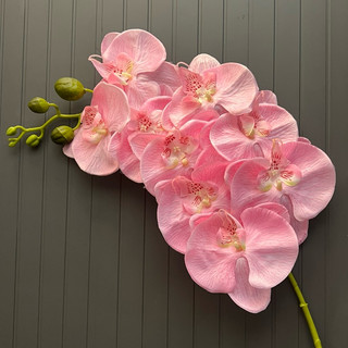 Hoa giả-hoa lụa-cành lan hồ điệp vải lụa 9 bông cánh to