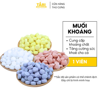 Viên muối khoáng cho hồ cá - muối khoáng hỗ trợ nuôi cá cảnh (1 viên) [MUỐI KHOÁNG]