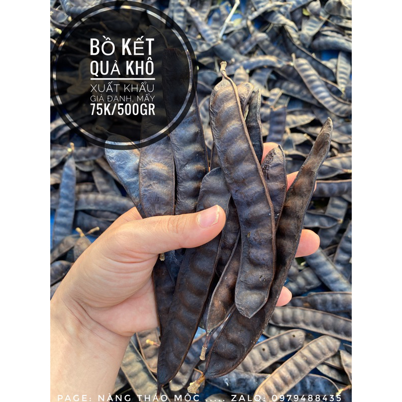 Quả bồ kết khô