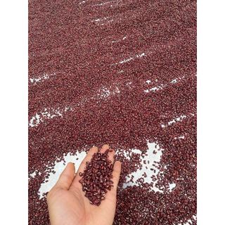 Xích Tiểu Đậu - Đậu Đỏ hạt nhỏ vuông Đông y - 1kg - Núi Khánh Sơn - Hữu cơ