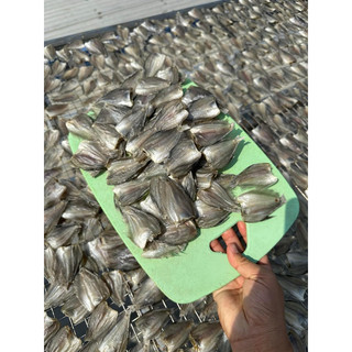 Khô Sặc Đồng (500gram)