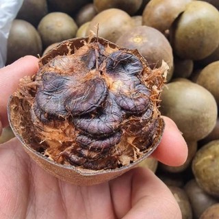 Quả la hán thanh nhiệt ,mát phổi