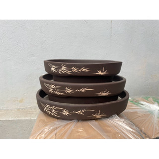  BỘ 3 OVAN MINI   Trồng Bonsai sen đá cây cảnh cây phong thuỷ mini  