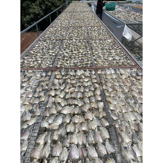 Khô Sặc Đồng (500gram)