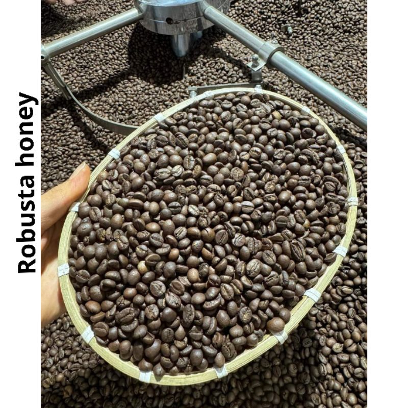 Cà phê Robusta honey nguyên chất rang mộc 100%
