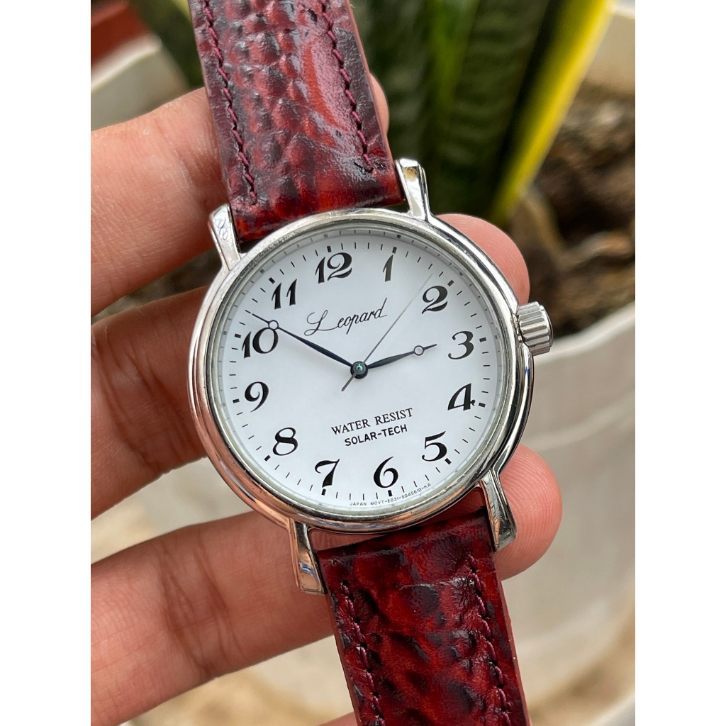 Đồng hồ nam Citizen Leopard pin solar hàng Si