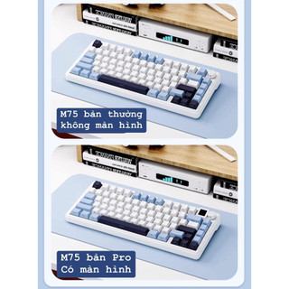 (SALE BỎ MÃ )  Bàn phím cơ Xinmeng M75   (  3 mode/ hotswap/ mạch xuội/ FULLFOAM