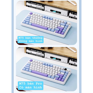 (SALE BỎ MÃ )  Bàn phím cơ Xinmeng M75   (  3 mode/ hotswap/ mạch xuội/ FULLFOAM