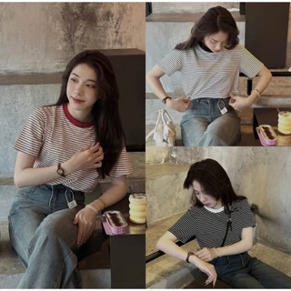 Áo phông babytee kẻ cổ tròn basic- BUN222