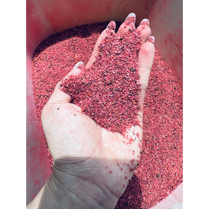 Cát Ngọc Hồng Lựu trang trí bể cá - Guppy Xanh