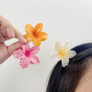 Kẹp Tóc, Gấp Tóc Hoa Sứ Hàn Quốc Hot Trend 4cm