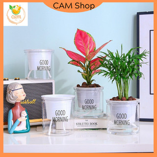 Chậu trồng cây thuỷ sinh, thủy canh để bàn, chậu tự dưỡng tự tưới trồng hoa cây cảnh good morning đặt bàn, văn phòng
