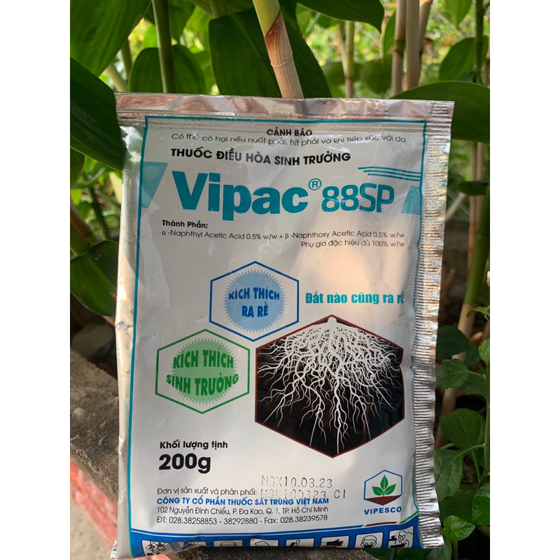 Vipac 88sp 100Gr: Tưới kích rễ nhanh, đâm chồi, lá dày to, đất nào củng ra rễ