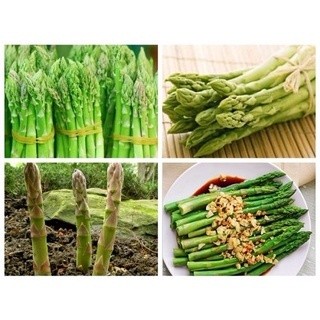 #Hạt_Giống_Măng_Tây ( tặng kích mầm phân bón )