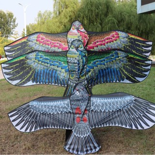 Diều Đại Bàng Cánh Dẹt Nhiều Kích Cỡ