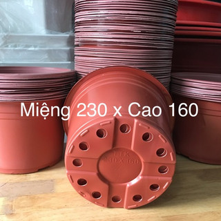 Combo Chậu Nhựa Mỏng Dẽo Nâu Đỏ, Vành Cứng Trồng Cây, Ươm Cây, Gieo Mầm (7size)