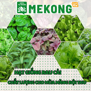 Hạt giống Rau củ quả - Rau ăn lá trồng rau sạch tại nhà - Hạt giống gia nông -Thành quả cho nhà Nông